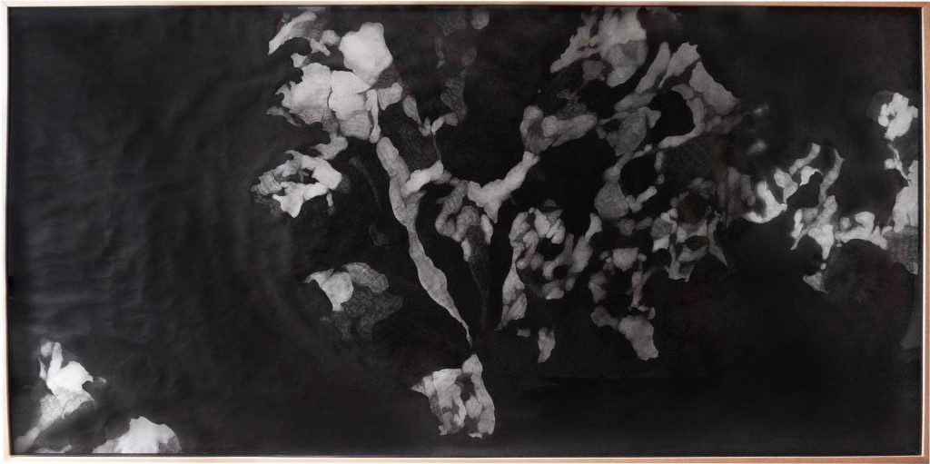 Lui Medina - Untitled (After Archipelago) I